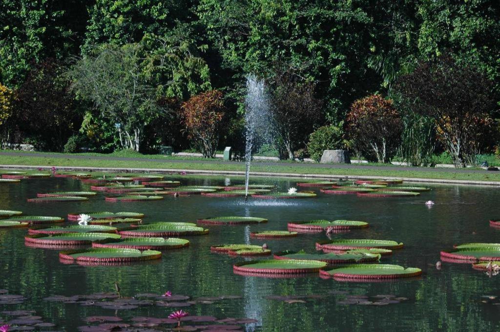 Rizen Padjadjaran Hotel Μπογκόρ Εξωτερικό φωτογραφία